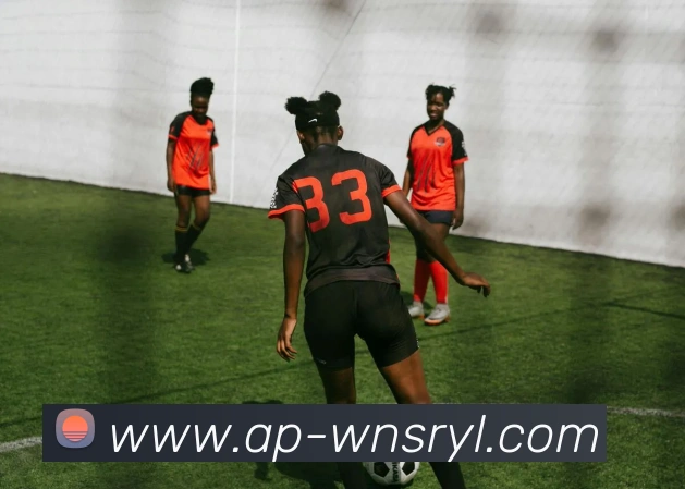 威尼斯人娱乐网站平台生态图